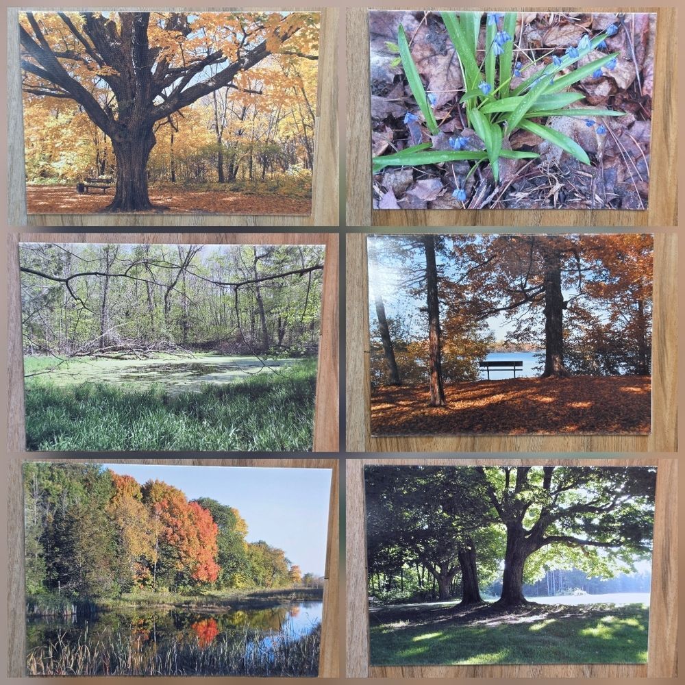 🔺️NIB Blank Nature Scene Notecards & Envelopes Set of 12